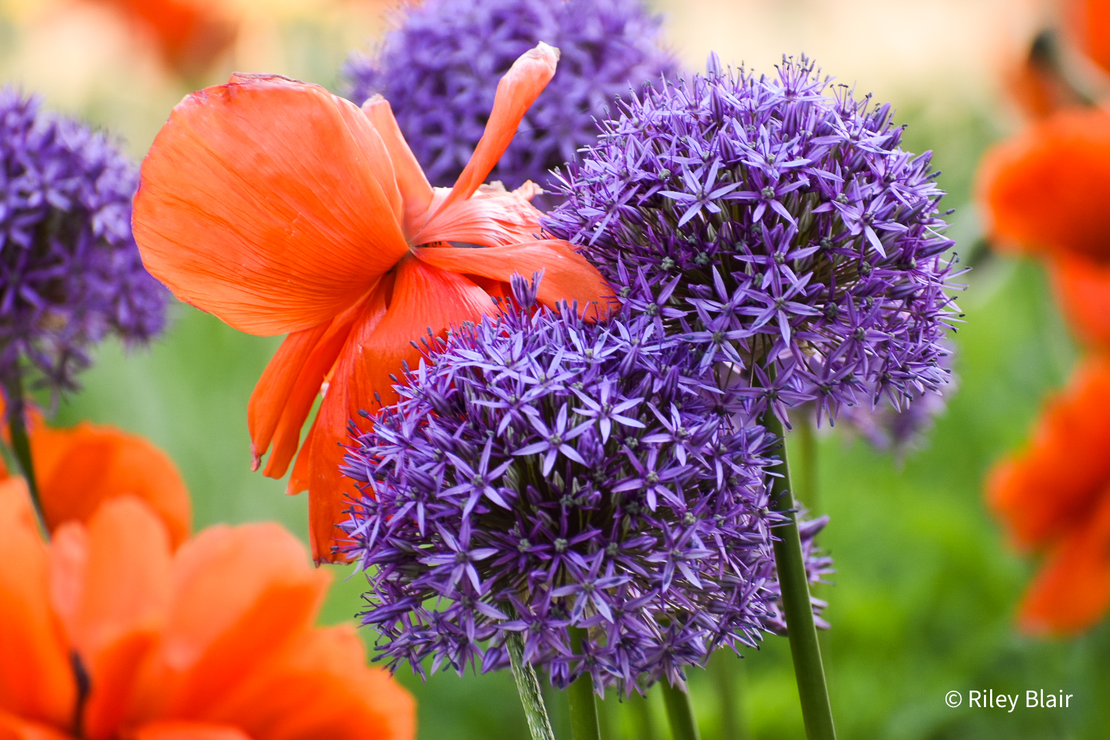 20230525 DSC 0114 Edit