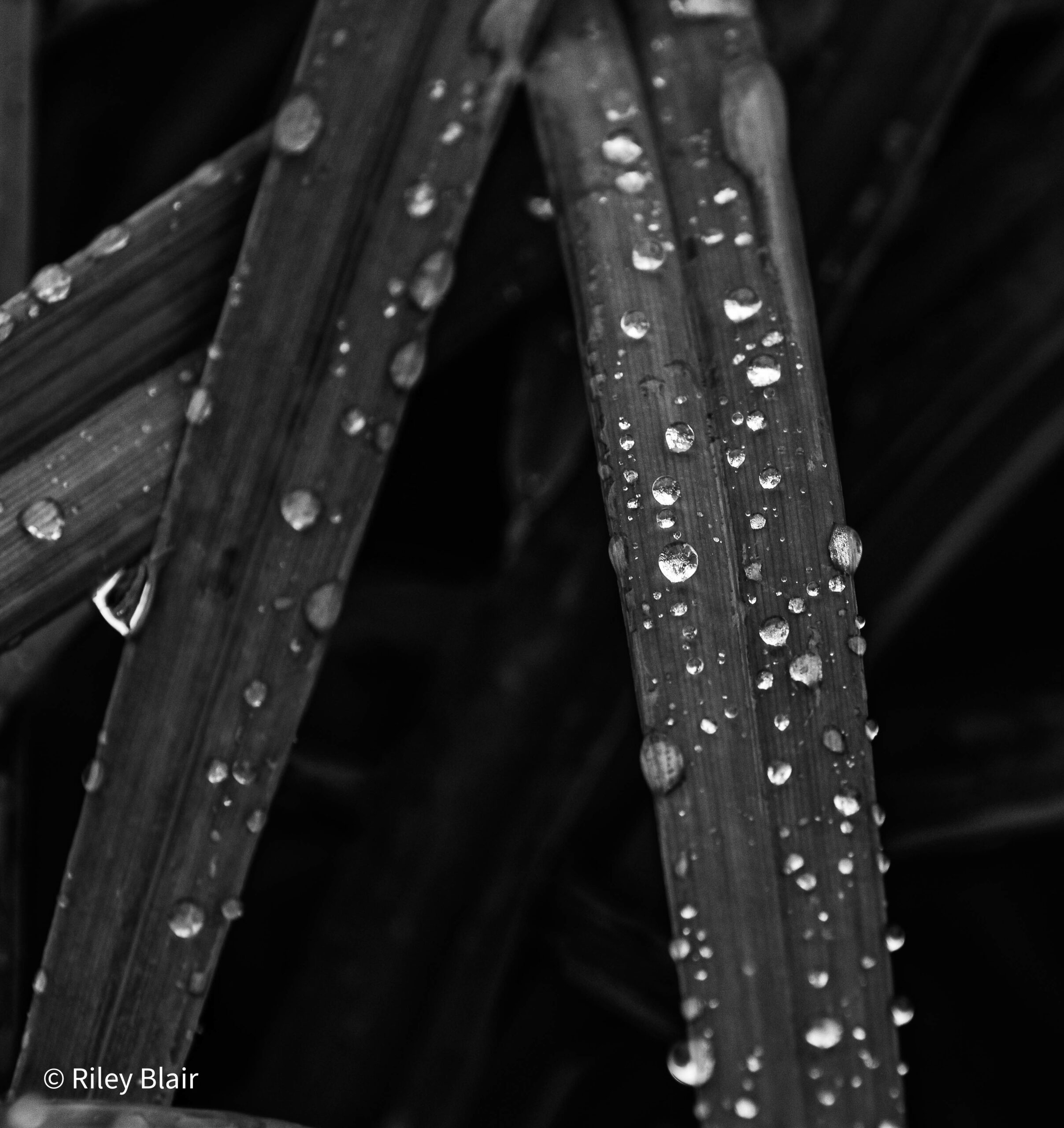 20231005 DSC 0179 HDR Scaled